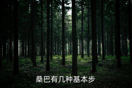 桑巴有几种基本步