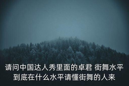 请问中国达人秀里面的卓君 街舞水平到底在什么水平请懂街舞的人来