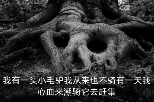 我有一头小毛驴我从来也不骑有一天我心血来潮骑它去赶集