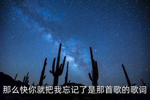 那么快你就把我忘记了是那首歌的歌词
