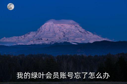 我的绿叶会员账号忘了怎么办
