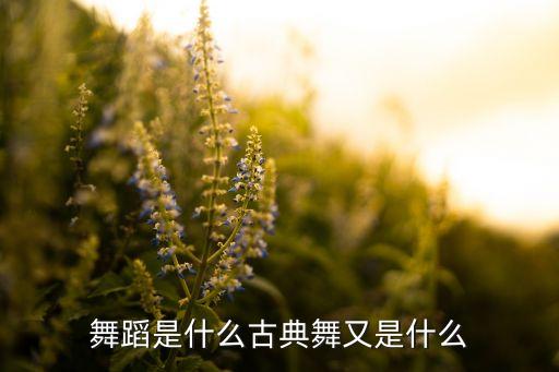 舞蹈是什么古典舞又是什么