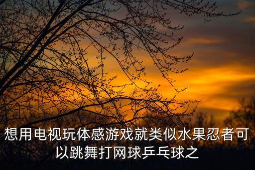 想用电视玩体感游戏就类似水果忍者可以跳舞打网球乒乓球之