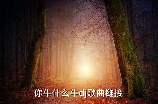 你牛什么牛dj视频，广场舞你牛甚么牛mp3