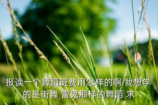 报读一个舞蹈班费用怎样的啊 我想学的是街舞 雷鬼那样的舞蹈 求