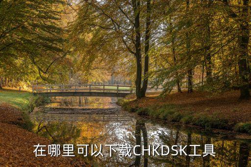 在哪里可以下载CHKDSK工具