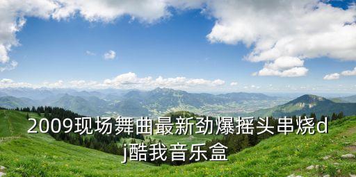 2009现场舞曲最新劲爆摇头串烧dj酷我音乐盒