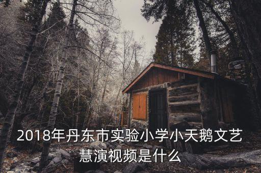 2018年丹东市实验小学小天鹅文艺慧演视频是什么