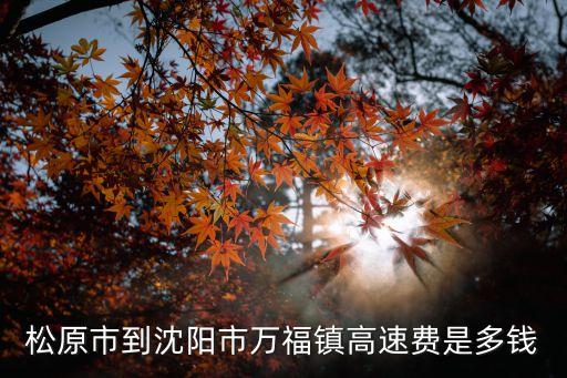 松原市到沈阳市万福镇高速费是多钱