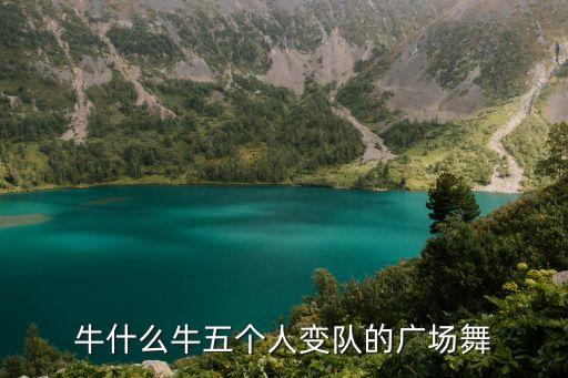 幸福天天广场舞牛什么牛mp3，dj308交谊舞曲网广场舞你牛什么牛mp3我要下载
