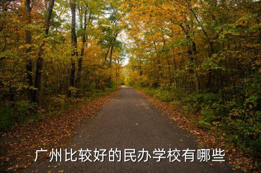 广州比较好的民办学校有哪些