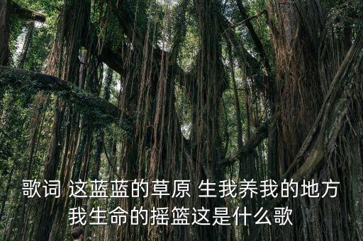歌词 这蓝蓝的草原 生我养我的地方我生命的摇篮这是什么歌