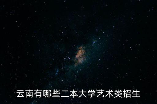 云南有哪些二本大学艺术类招生