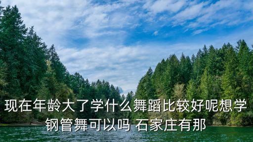 现在年龄大了学什么舞蹈比较好呢想学钢管舞可以吗 石家庄有那