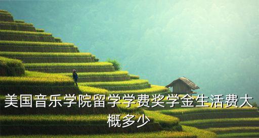 美国mi音乐学院学费，美国音乐学院留学费用及入学条件有哪些