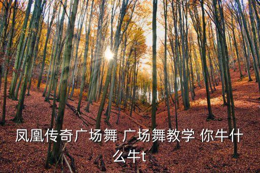 凤凰传奇广场舞 广场舞教学 你牛什么牛t