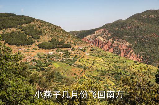 燕子什么季节飞回江南，小燕子几月份飞回南方