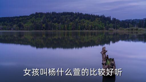 鸡年杨什么萱好听，姓杨什么字带个萱字好听