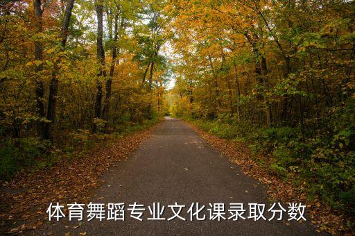 体育舞蹈可以考的大学分数线，体育舞蹈包括什么多少分能考上本科院校哪所大学比较好毕业后好