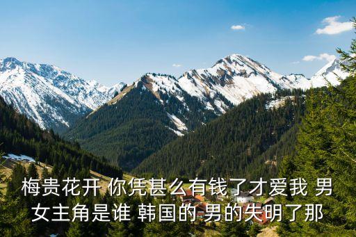 梅贵花开 你凭甚么有钱了才爱我 男女主角是谁 韩国的 男的失明了那