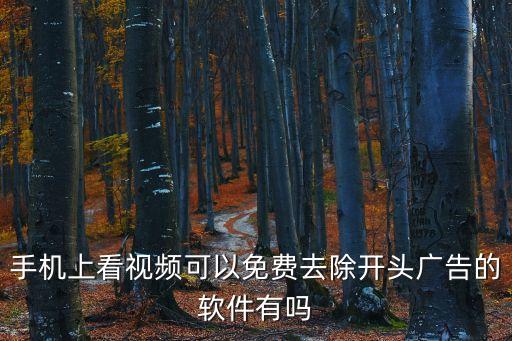 手机上看视频可以免费去除开头广告的软件有吗