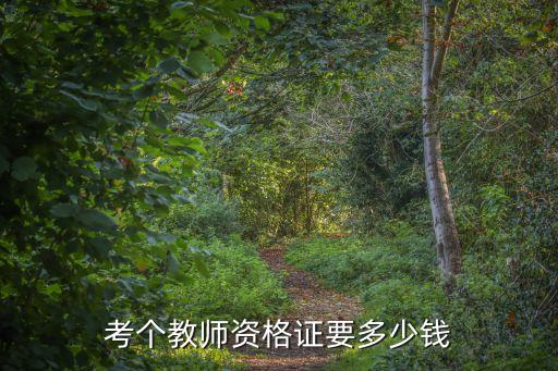 爵士舞教师资格证考试多少钱，教师资格证考试报名费多少钱