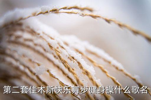第二套佳木斯快乐舞步健身操什么歌名