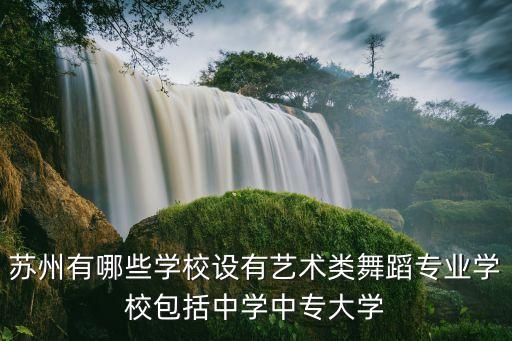 苏州有哪些学校设有艺术类舞蹈专业学校包括中学中专大学