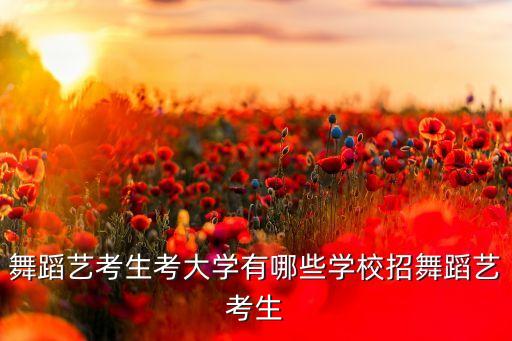 舞蹈专业过线按文化录取的院校，哪些大学的舞蹈系是按艺术分和文化分综合录取