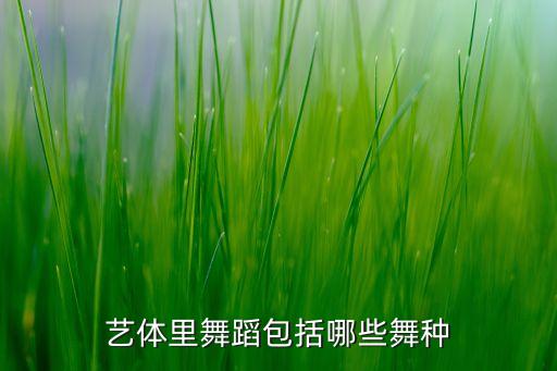 艺体里舞蹈包括哪些舞种