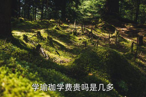 学瑜珈学费贵吗是几多