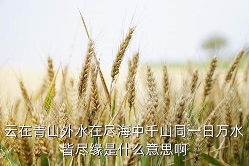 云上青山表达的何意思是什么意思，三毛云在青山月在天的出处及意思