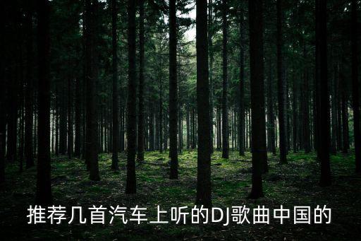 推荐几首汽车上听的DJ歌曲中国的