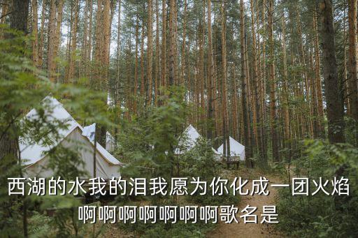 西湖的水我的眼泪是什么歌，西湖的水我的泪谁的作品