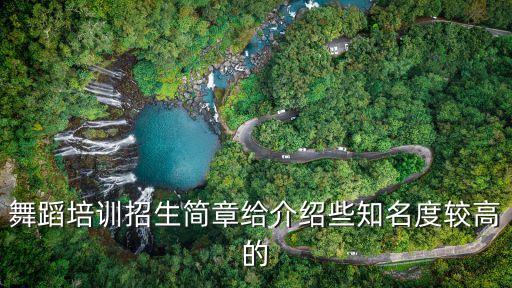 舞蹈培训招生简章给介绍些知名度较高的