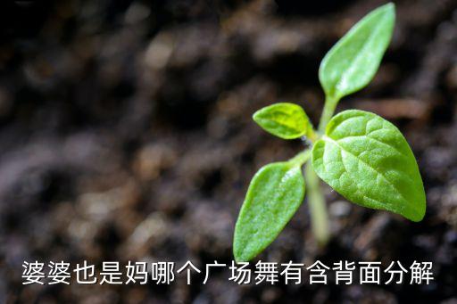 算什么广场舞新风咐正背面分解，婆婆也是妈哪个广场舞有含背面分解