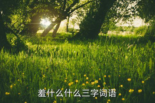 羞什么什么三字词语