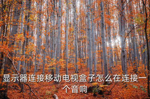 显示器连接移动电视盒子怎么在连接一个音响