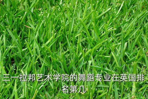 国外舞蹈学校排名，美国艺术类院校排名