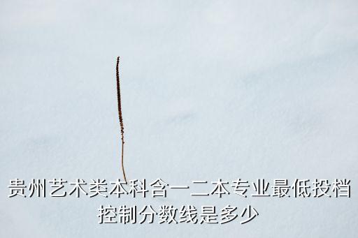 贵州舞蹈艺术生分数线，贵州省艺术文化分上线分如何算