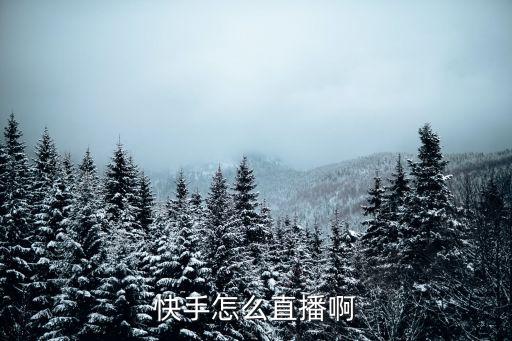 快手怎么直播啊
