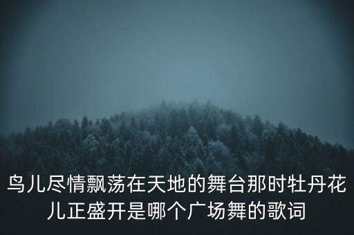 鸟儿尽情飘荡在天地的舞台那时牡丹花儿正盛开是哪个广场舞的歌词