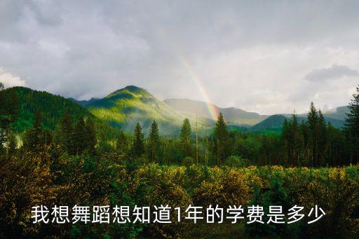 一年舞蹈班按多少节算，幼儿舞蹈班一个月上几个课时