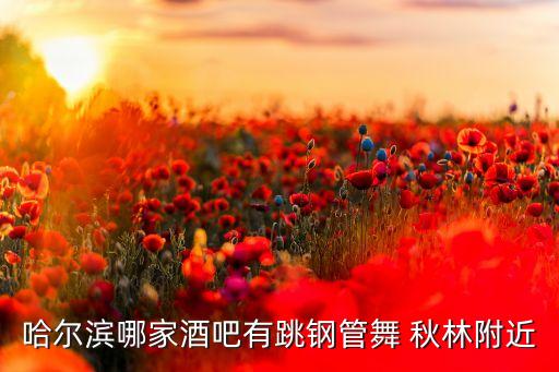 哈尔滨哪里招刚管舞，哈尔滨钢管舞哪有在哪跳路上