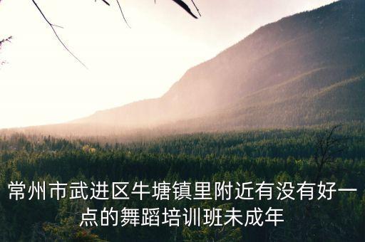 常州市武进区牛塘镇里附近有没有好一点的舞蹈培训班未成年