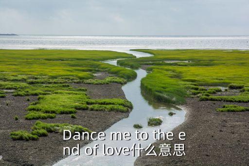 舞蹈殿堂是什么意思，炫舞舞团取名