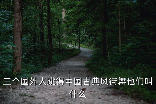 三个国外人跳得中国古典风街舞他们叫什么