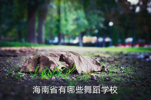 海南省有哪些舞蹈学校