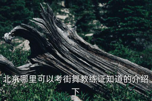 北京舞蹈学校一级，北京的舞蹈学校或体校有哪些