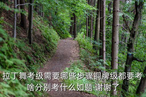 拉丁舞考级需要哪些步骤铜牌级都要考啥分别考什么如题 谢谢了
